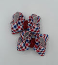 Patriotic Picnic